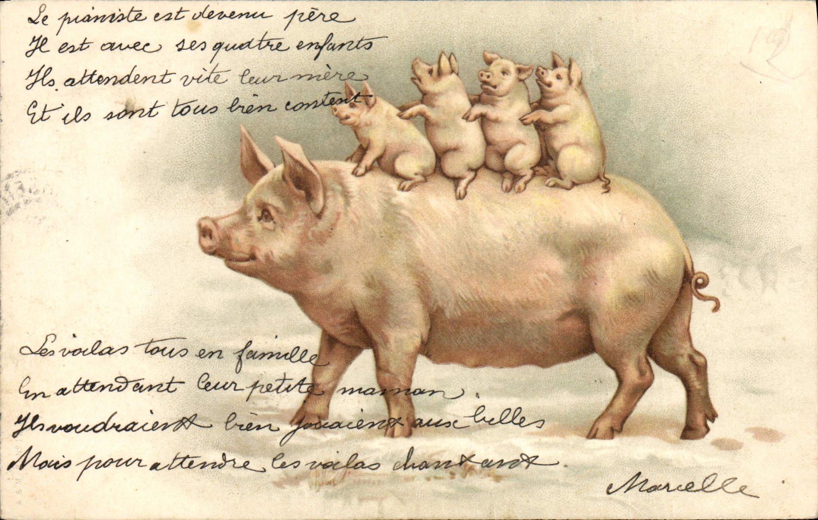 CPA Cochon Porc 