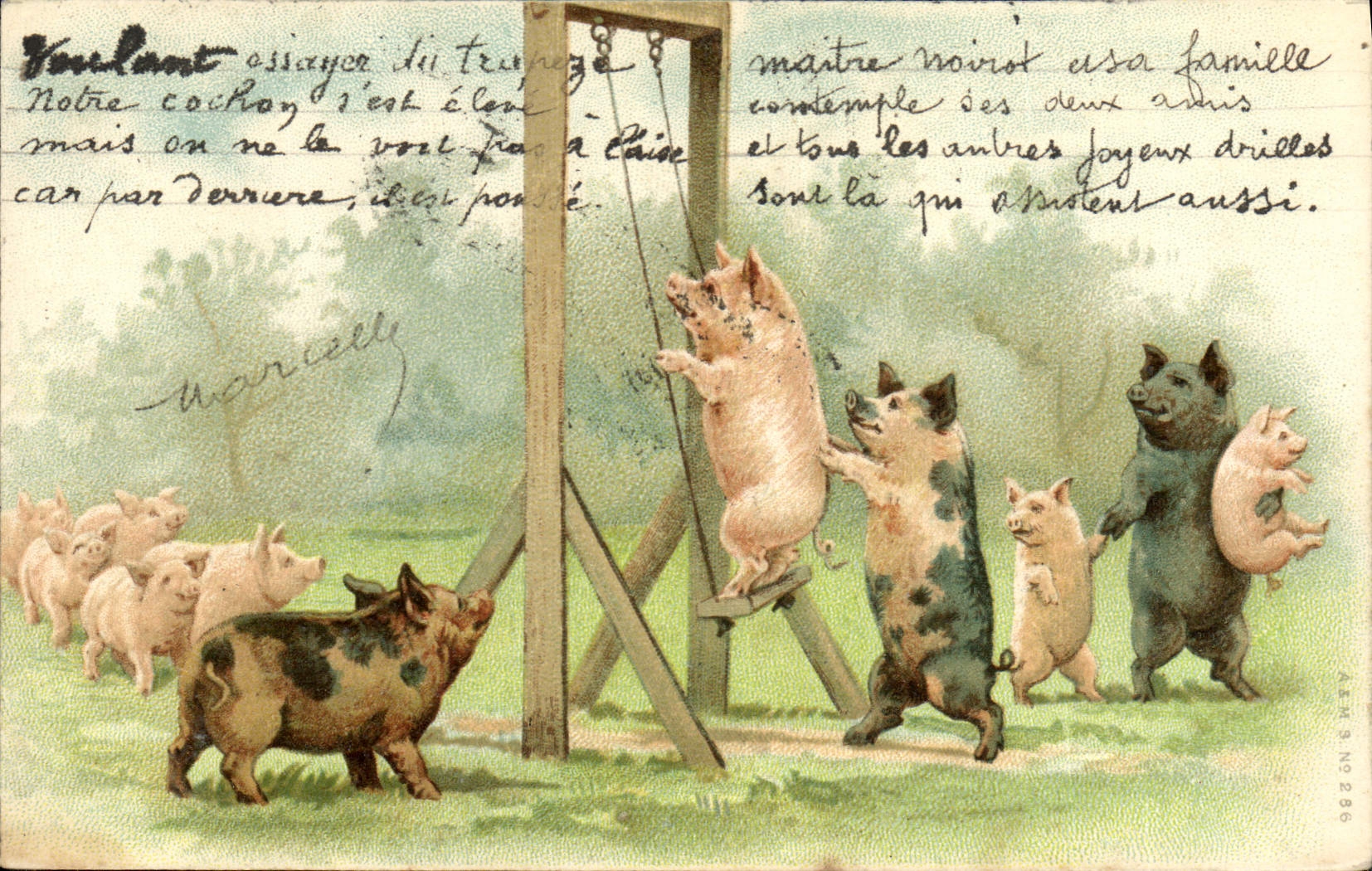 CPA Cochon Porc 