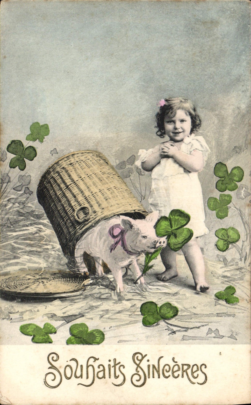 CPA Cochon Porc Enfant Trefles 
