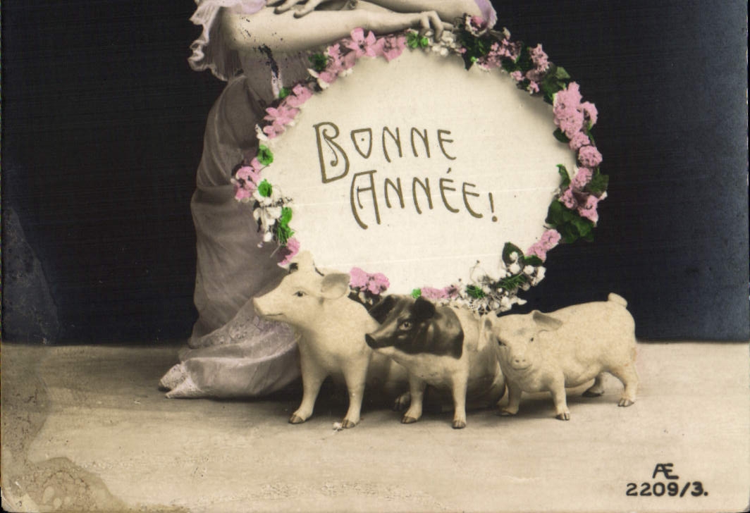 CPA Cochon Porc Femme Bonne annee 