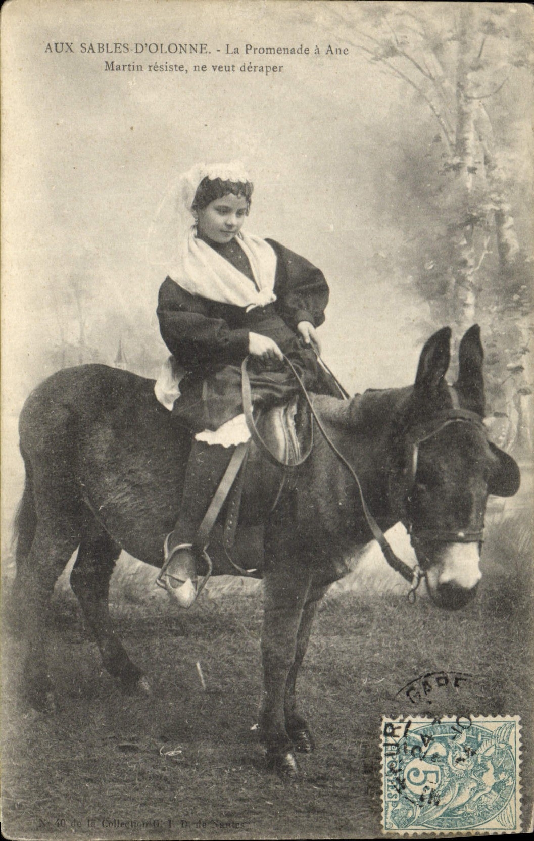 Vintage Postcard Folklore With Sands of Olonne the walk has donkey Martin resists Mule Donkey