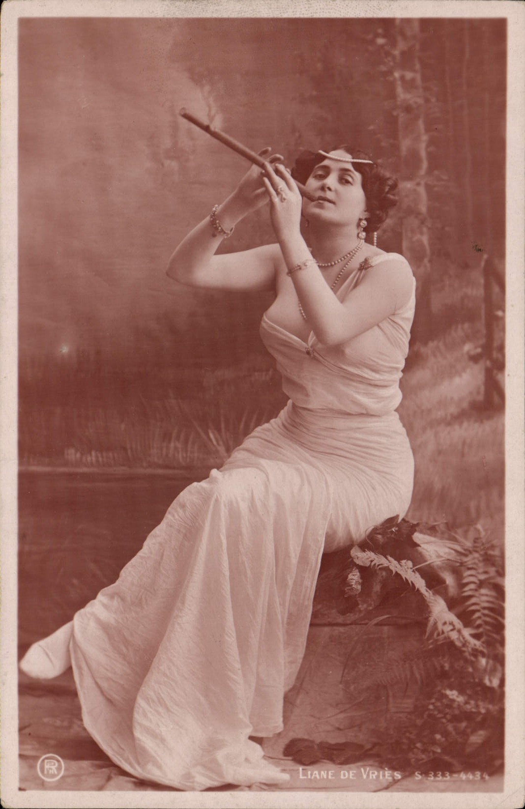 Postal Bejuco de Vries