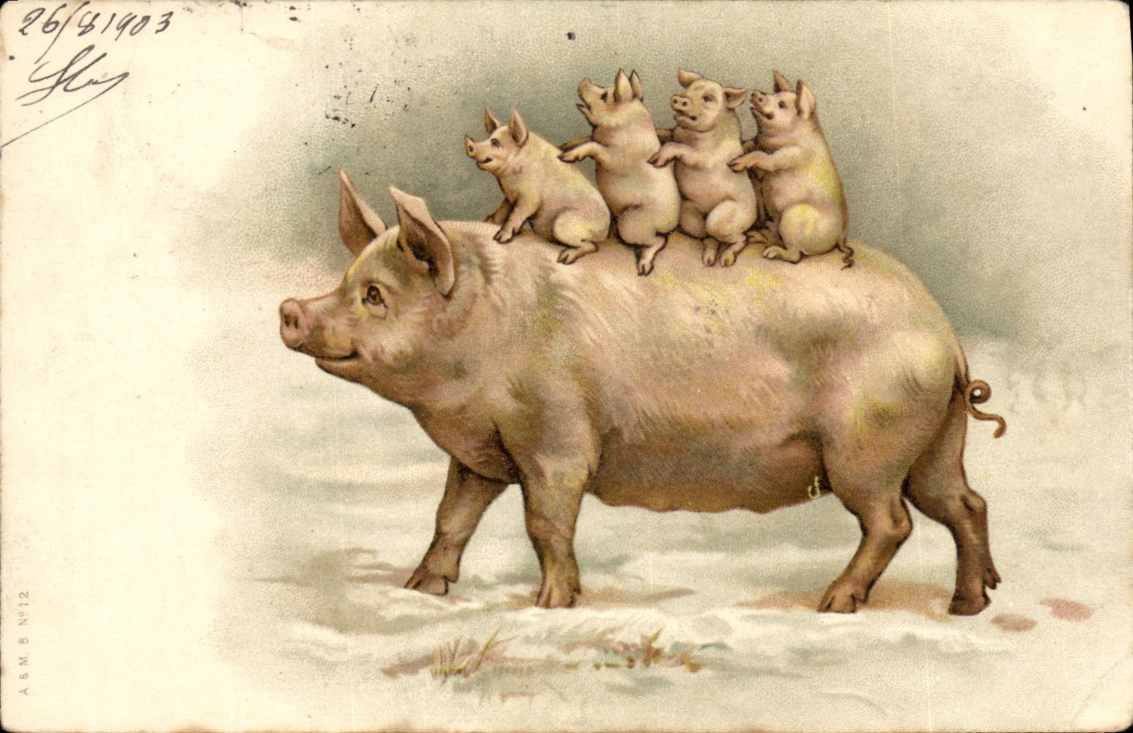 CPA Cochon Porc