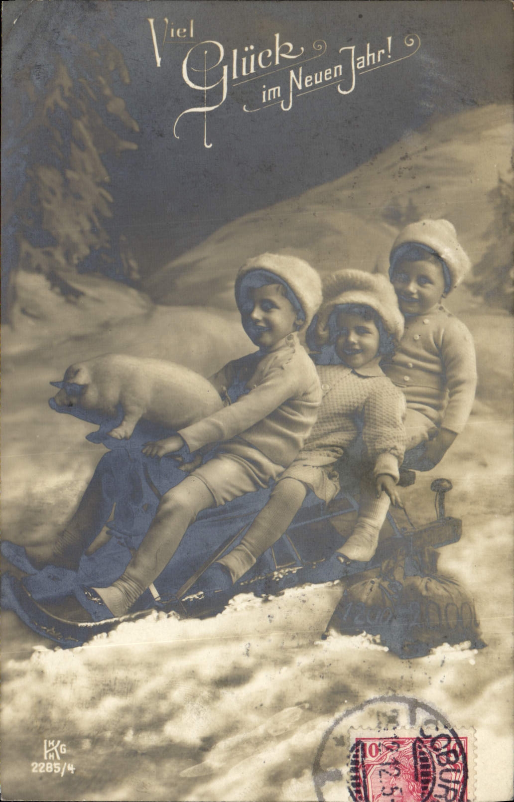 Vintage Postcard Cochon Pig Children toboggans