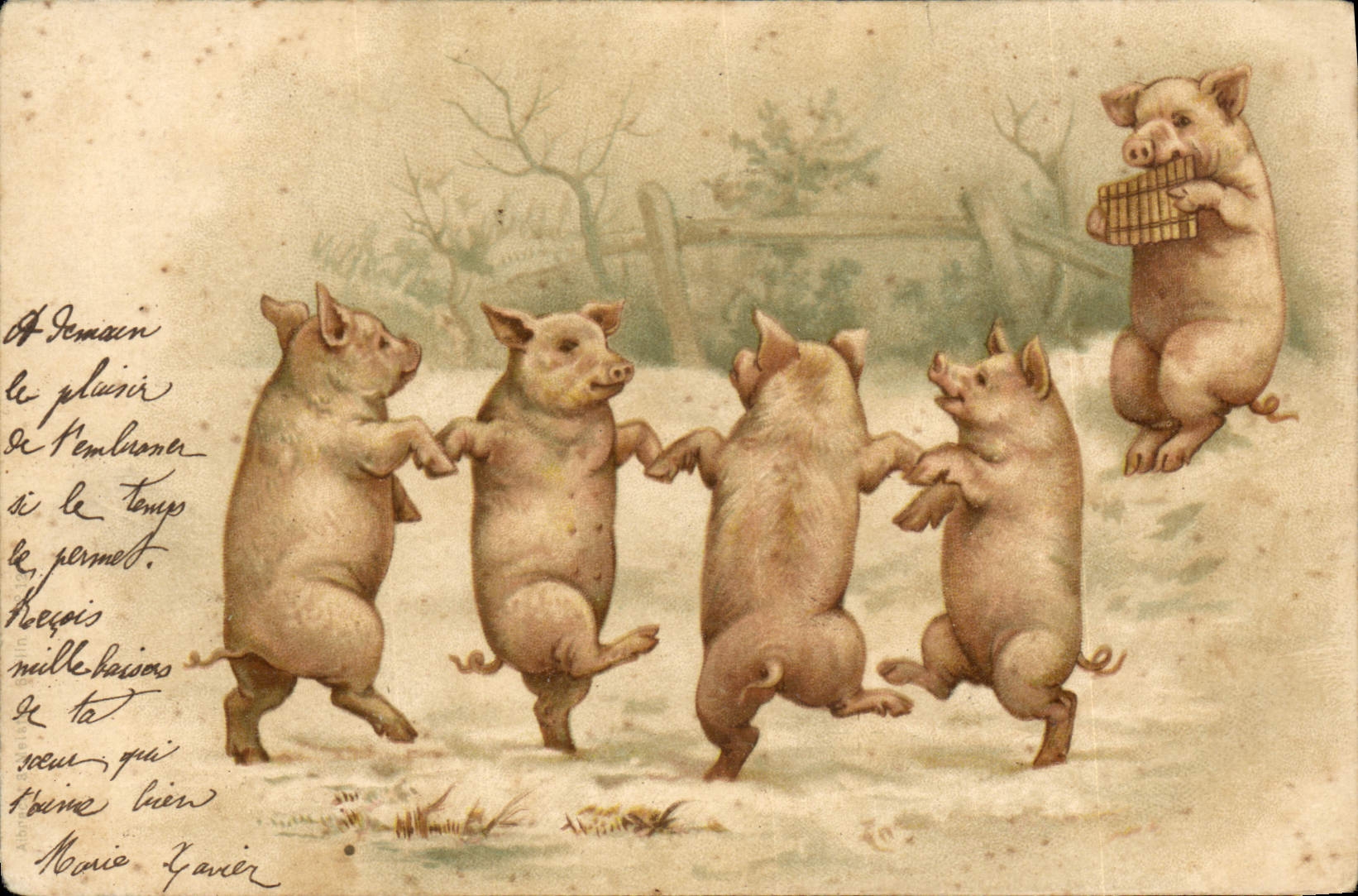 CPA Cochon Porc 