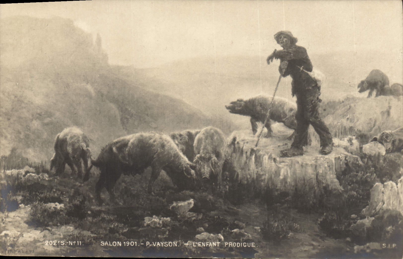 Postal Cerdo Cerdo Salón 1901 de Vaysan el hijo pródigo Ovejas