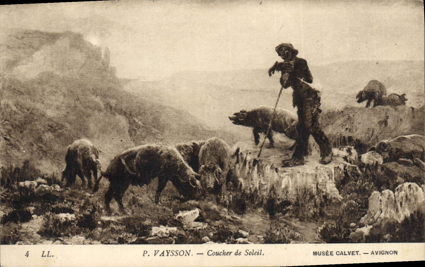 Vintage Postcard Pig Pig Vaysson Sunset Museum Calvet Avignon