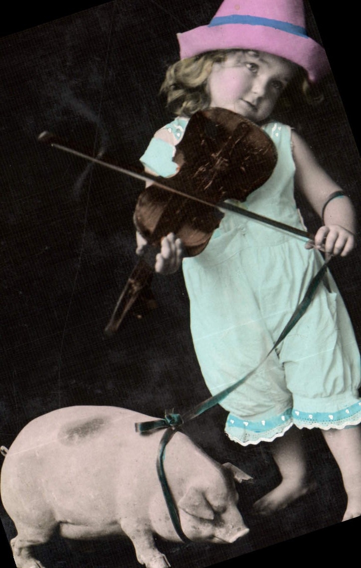 Vintage Postcard Pig Pig Child Baby Violin