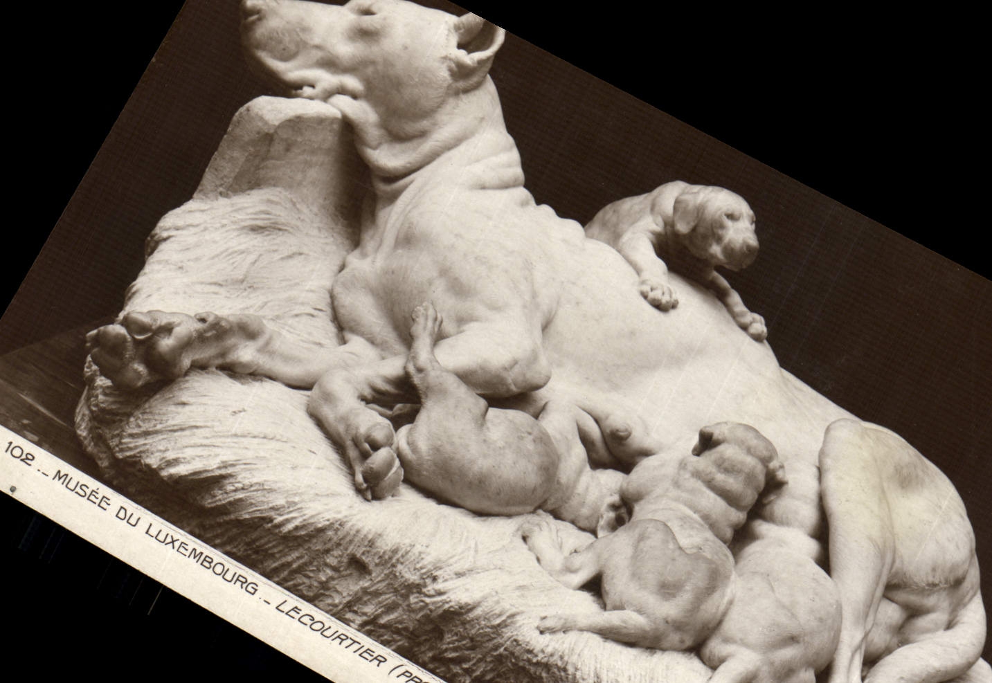 Vintage Postcard Museum of Luxembourg Lecourtier Danish Bitch nursing Dog