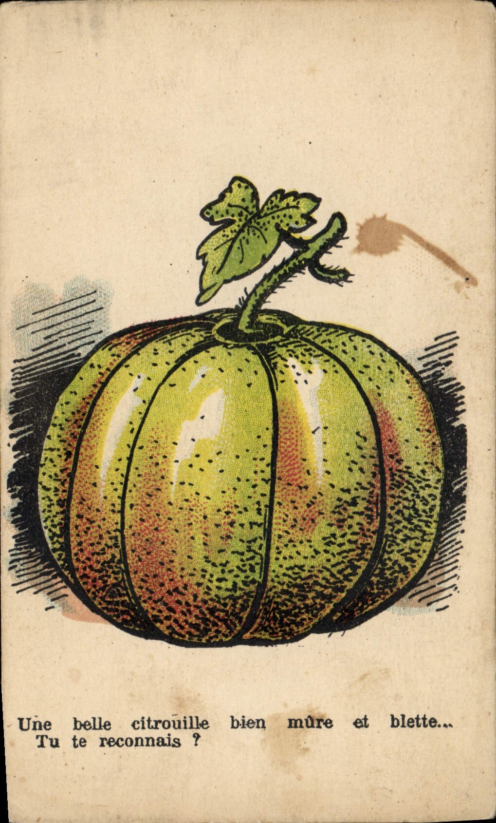 Vintage Postcard Fantasy Illustrator Pumpkin