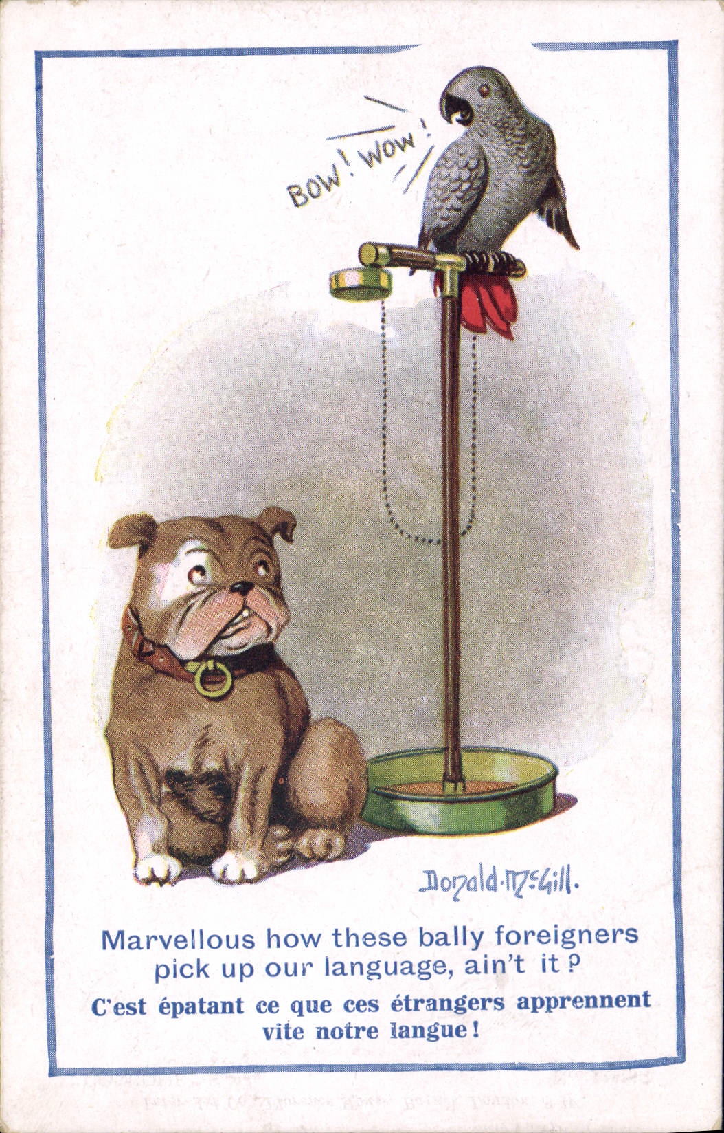 Vintage Postcard Fantasy Illustrator Donald Mc Gill Dog Parrot