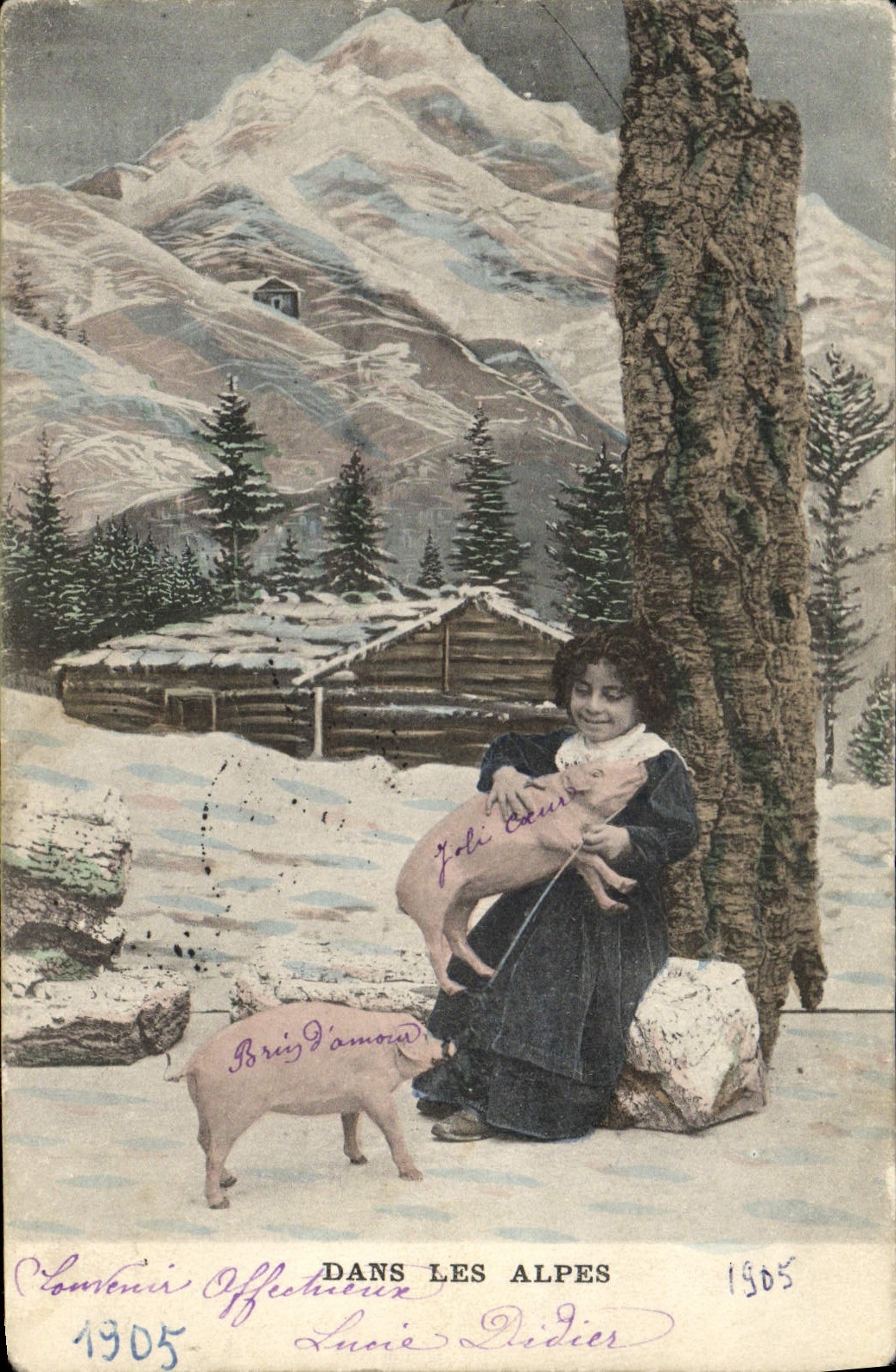 Postal Cerdo Cerdo Niño en los Alpes