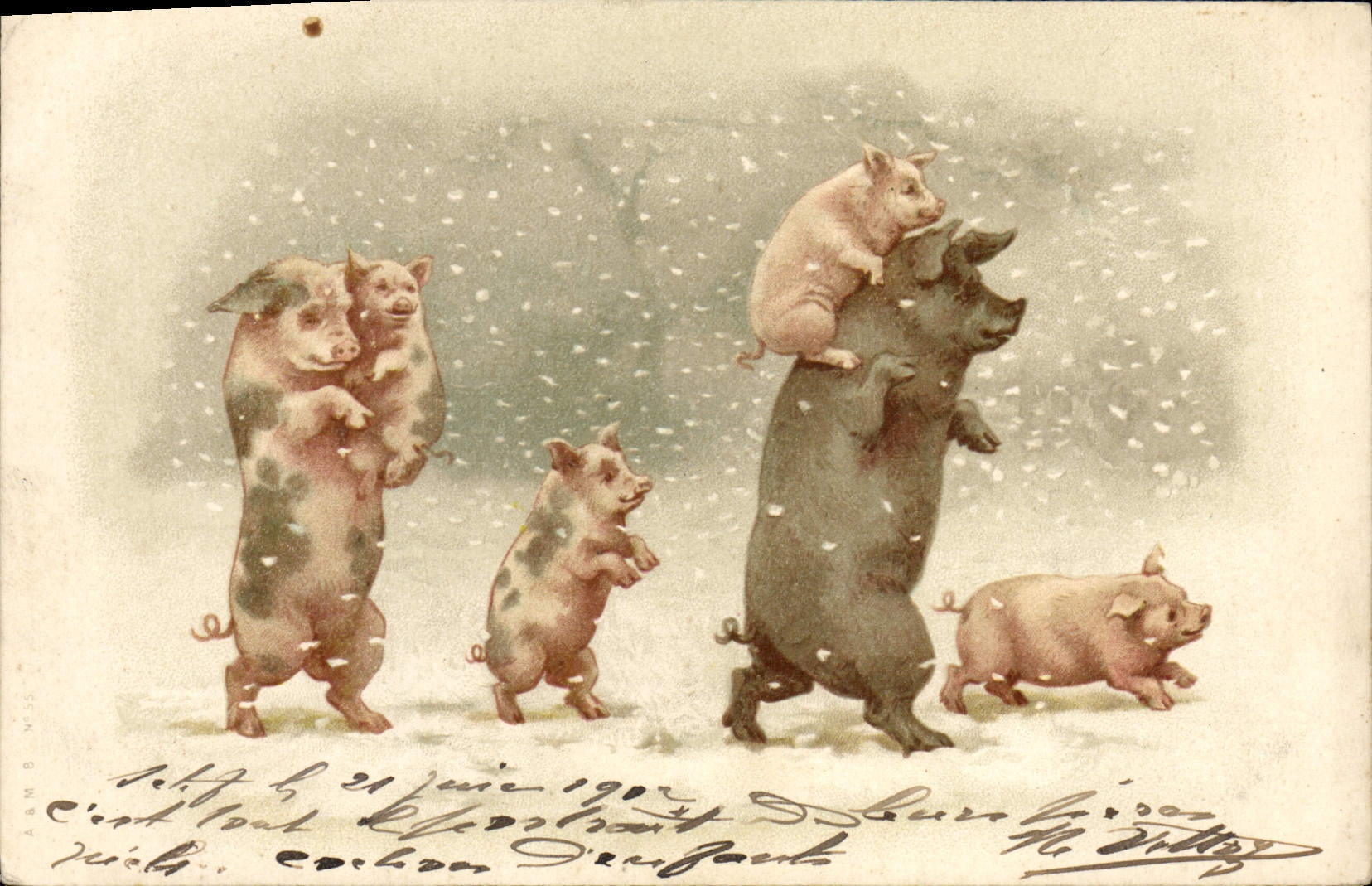 CPA Cochon Porc 
