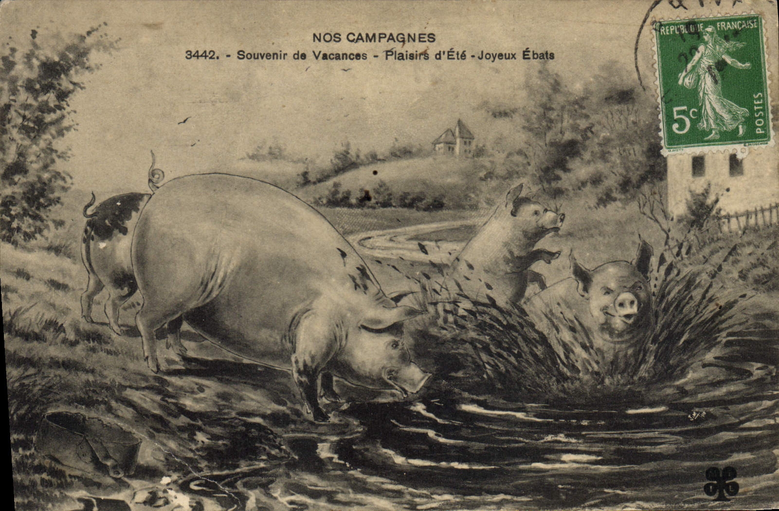 Vintage Postcard Pig Pig Memory of vacancies Pleasures of Merry summer Frolicking