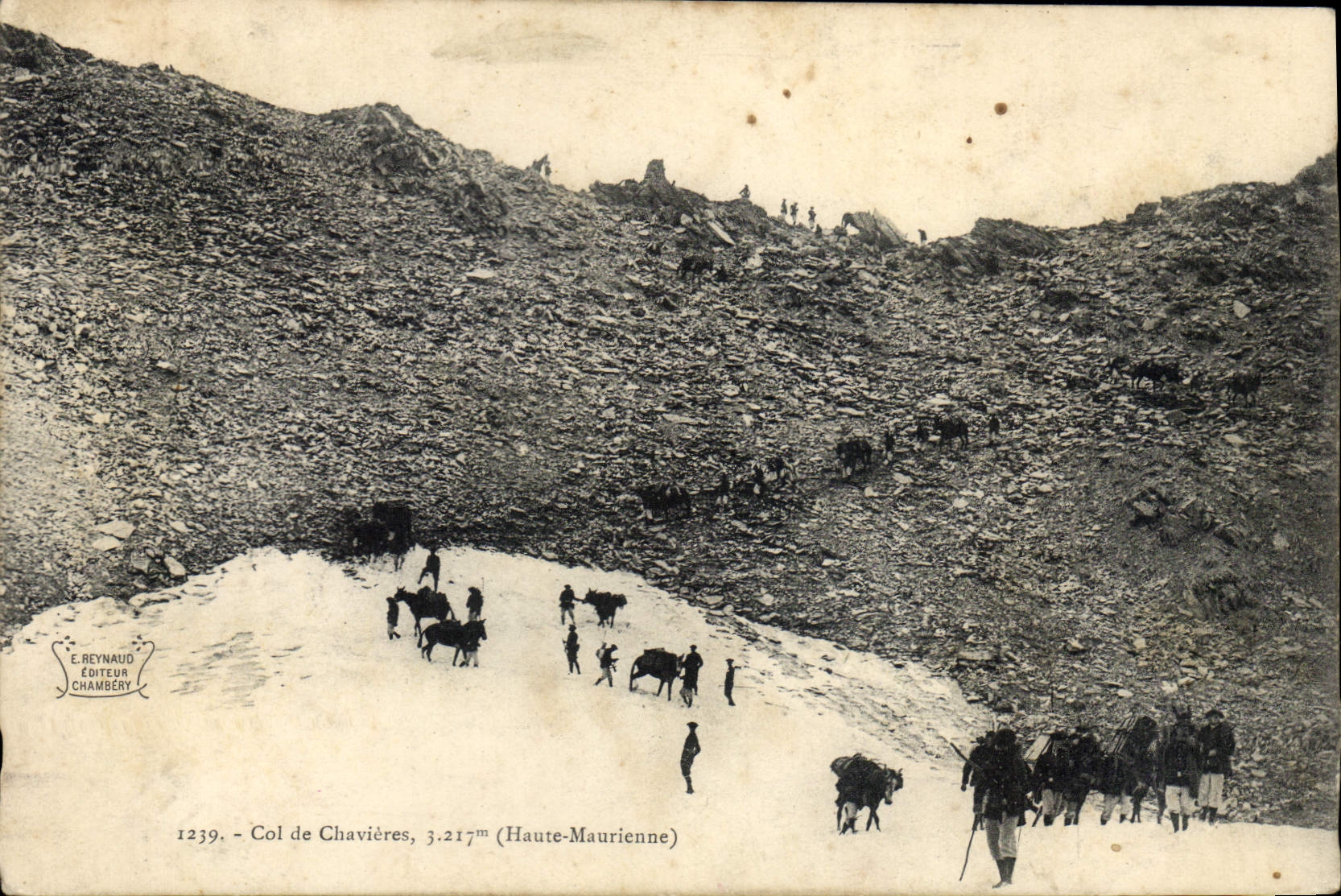 Vintage Postcard Militaria Alpine hunters Collar of Chavieres High Maurienne (flowers sechees with the back if not good presentation)
