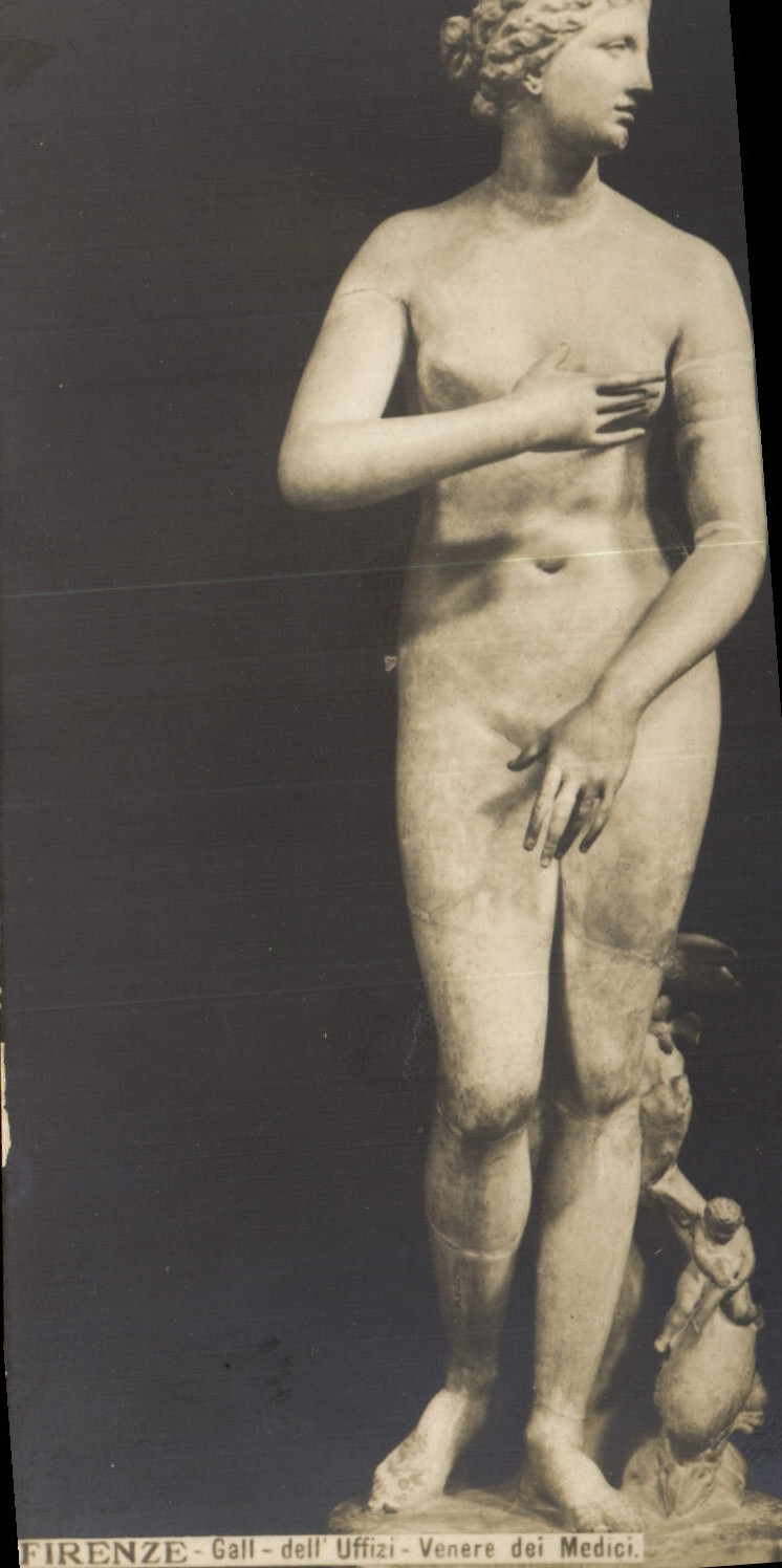 Vintage Postcard Firenze Gall LED Uffizi Venerates dei Medici