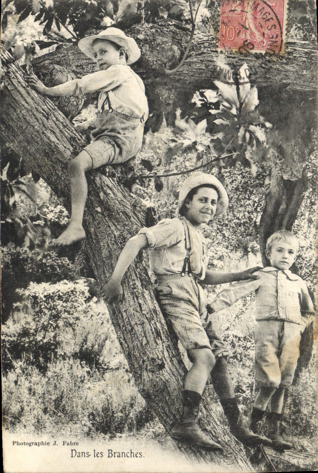 Vintage Postcard Children In the branches
