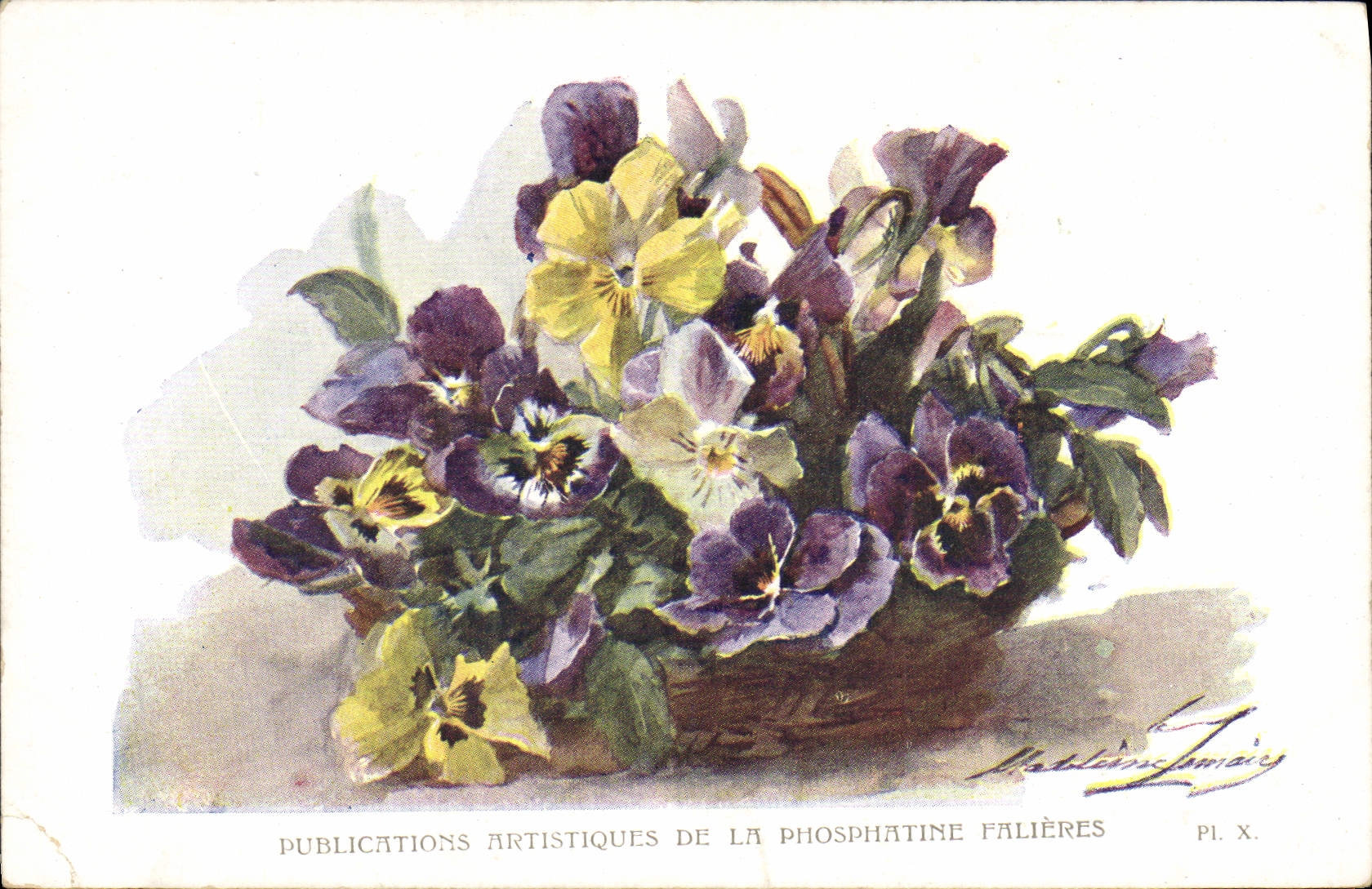 Vintage Postcard Fantasy Flowers Phosphatine Falieres