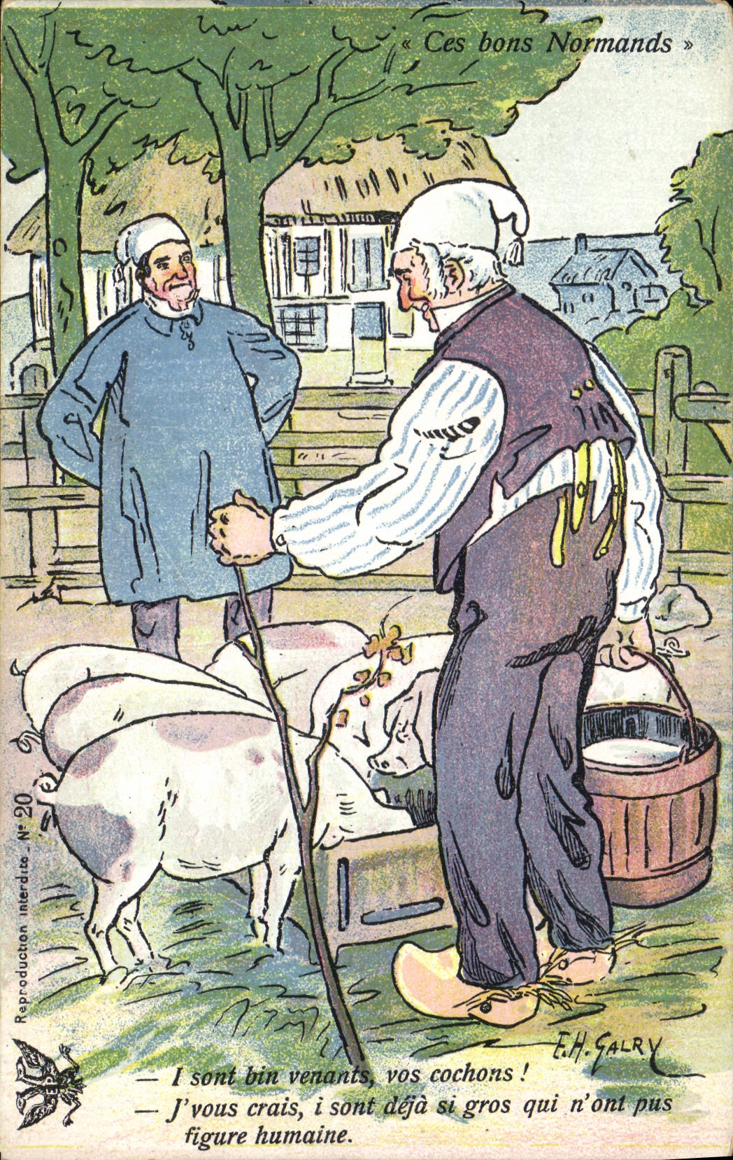 Vintage Postcard Pig Pig These Norman goods