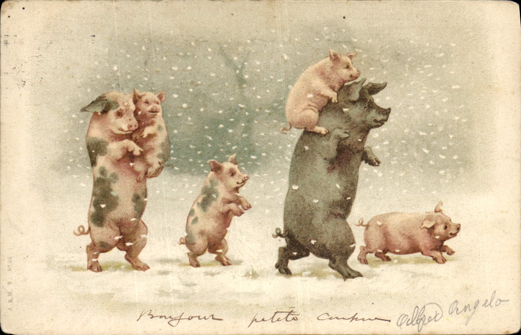 CPA Cochon Porc 
