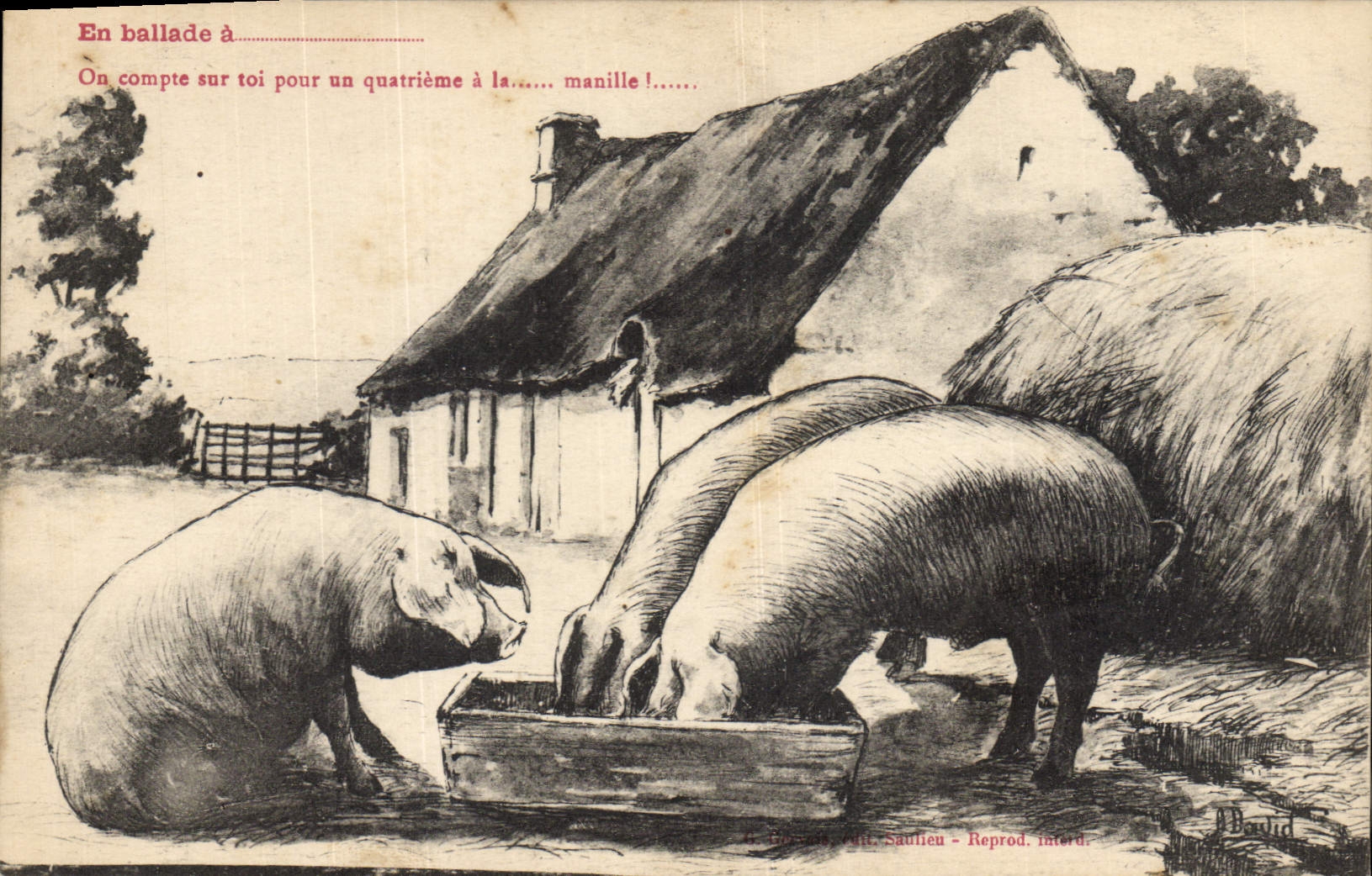 Postal Cerdo Cerdo en balada