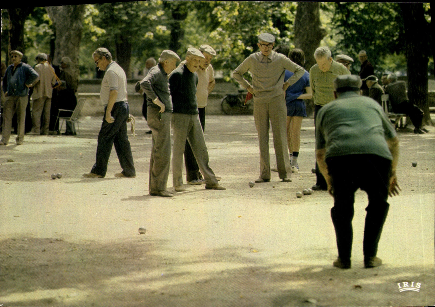 Modern Postcard Game of bowls Reflections of Provence