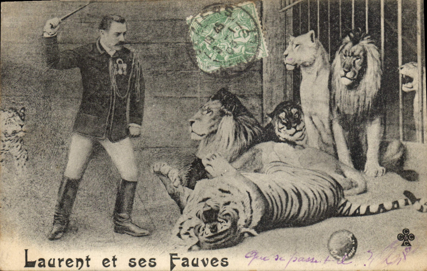 CPA Lion Laurent et ses fauves Tigre TOP