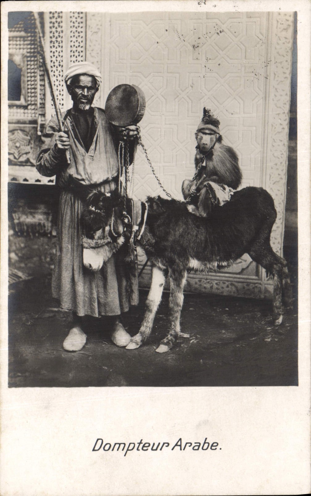 CPA Dompteur arabe Ane Mule Singe 
