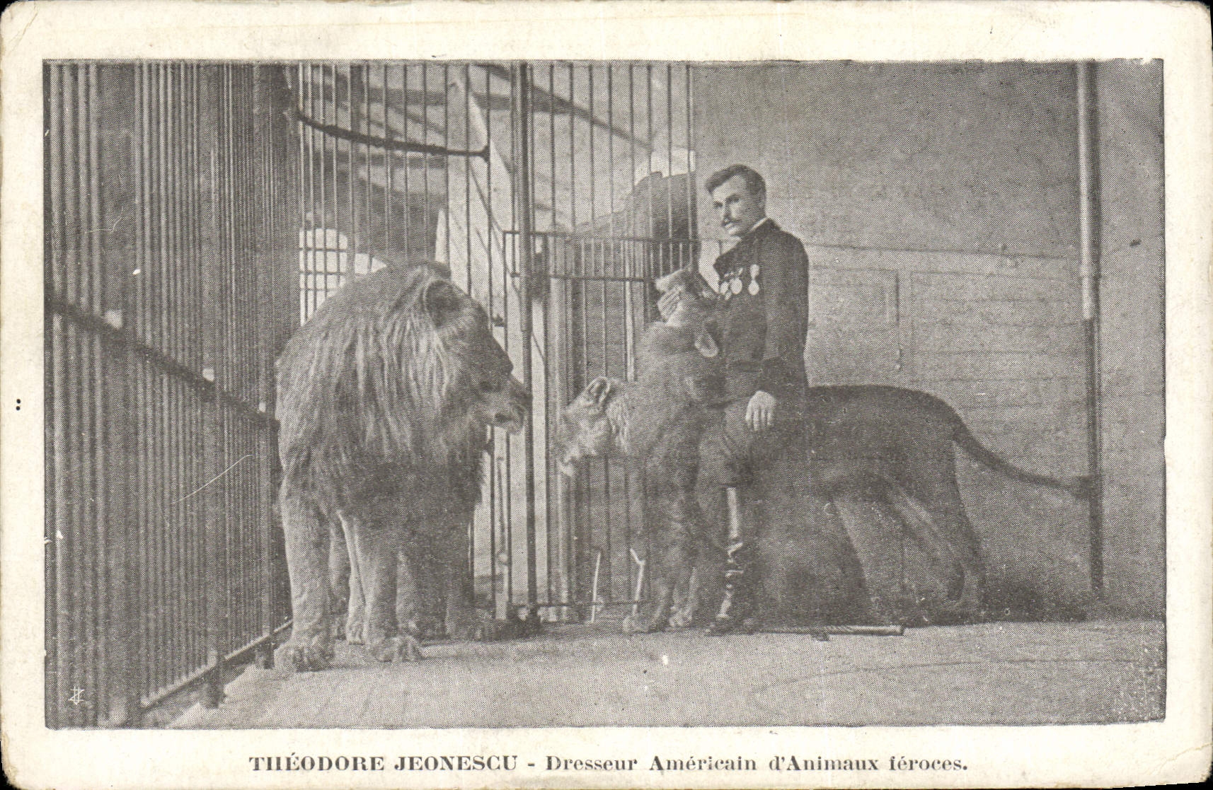 Vintage Postcard Theodore Jeonescu American Tamer of wild animals Lion Lioness