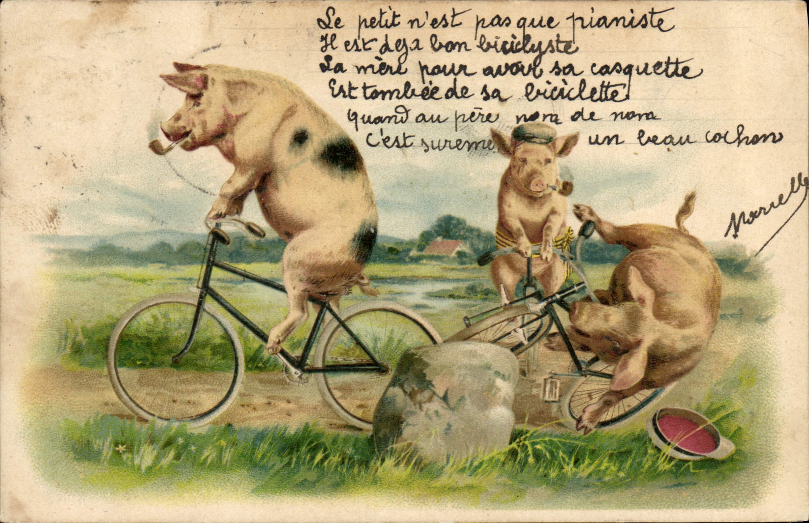 CPA Cochon Porc Velo Cycle 