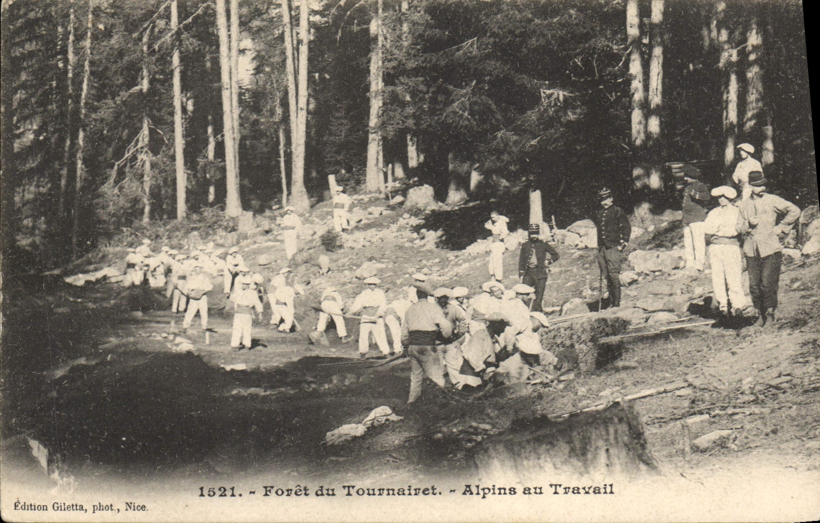 CPA Militaria Chasseurs Alpins Foret de Tournairet Alpins au travail 