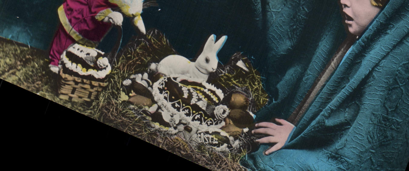 CPA Lapin Lapins Enfant Parques 