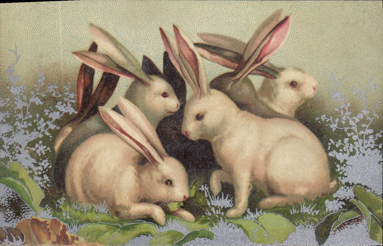CPA Lapin Lapins 