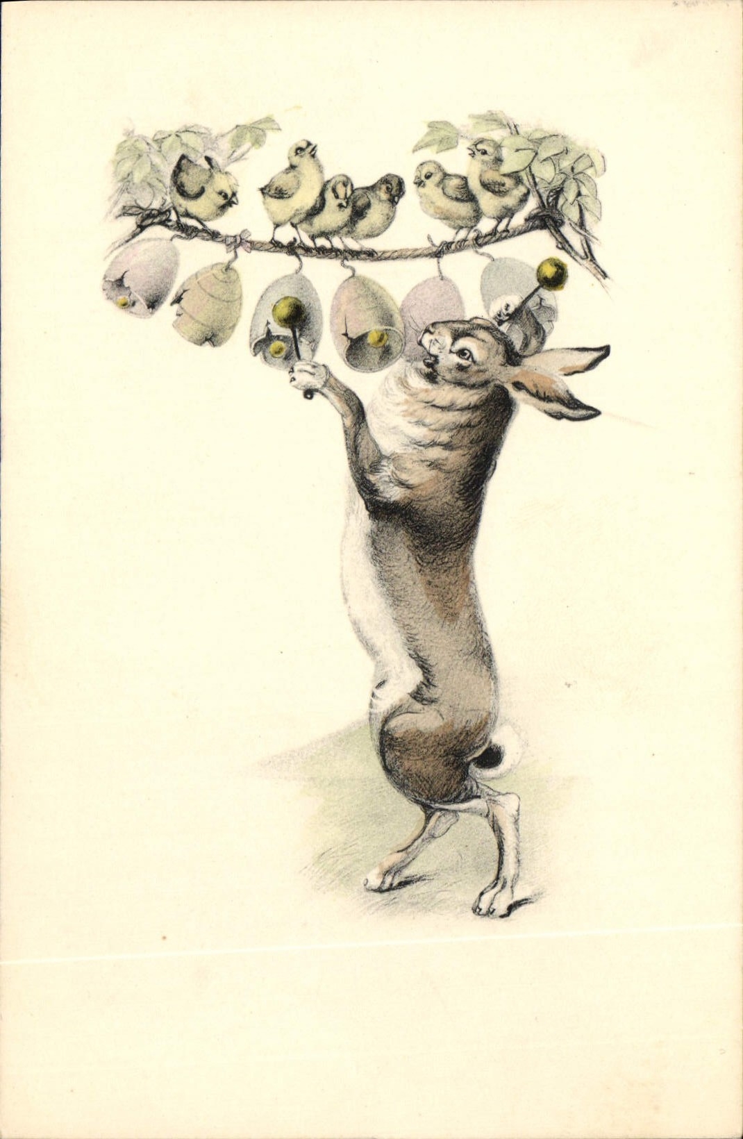 CPA Lapin Lapins Poussins 