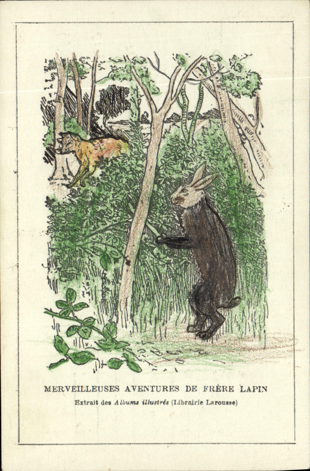 Marvellous Vintage Postcards Rabbit Rabbits adventures of brother rabbit