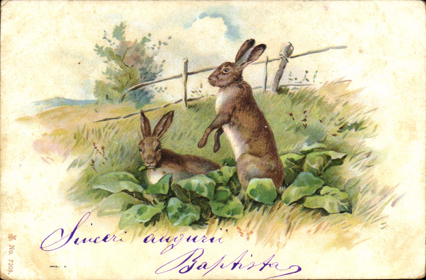 CPA Lapin Lapins 