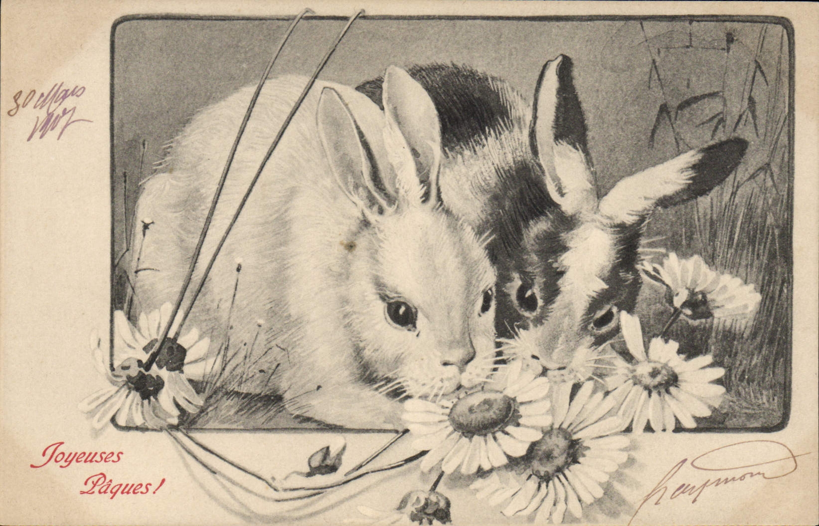 CPA Lapin Lapins 