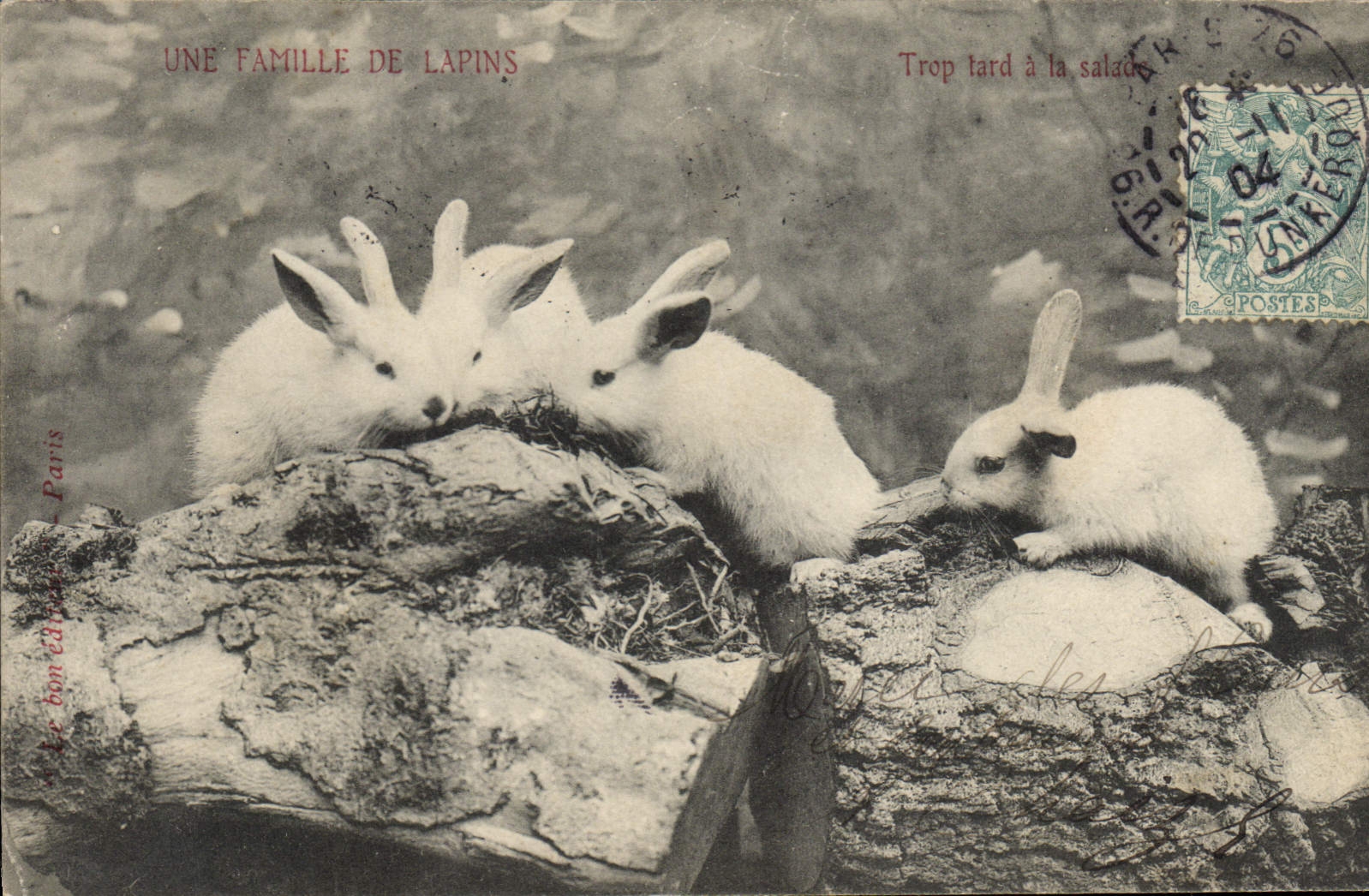 CPA Lapin Lapins 