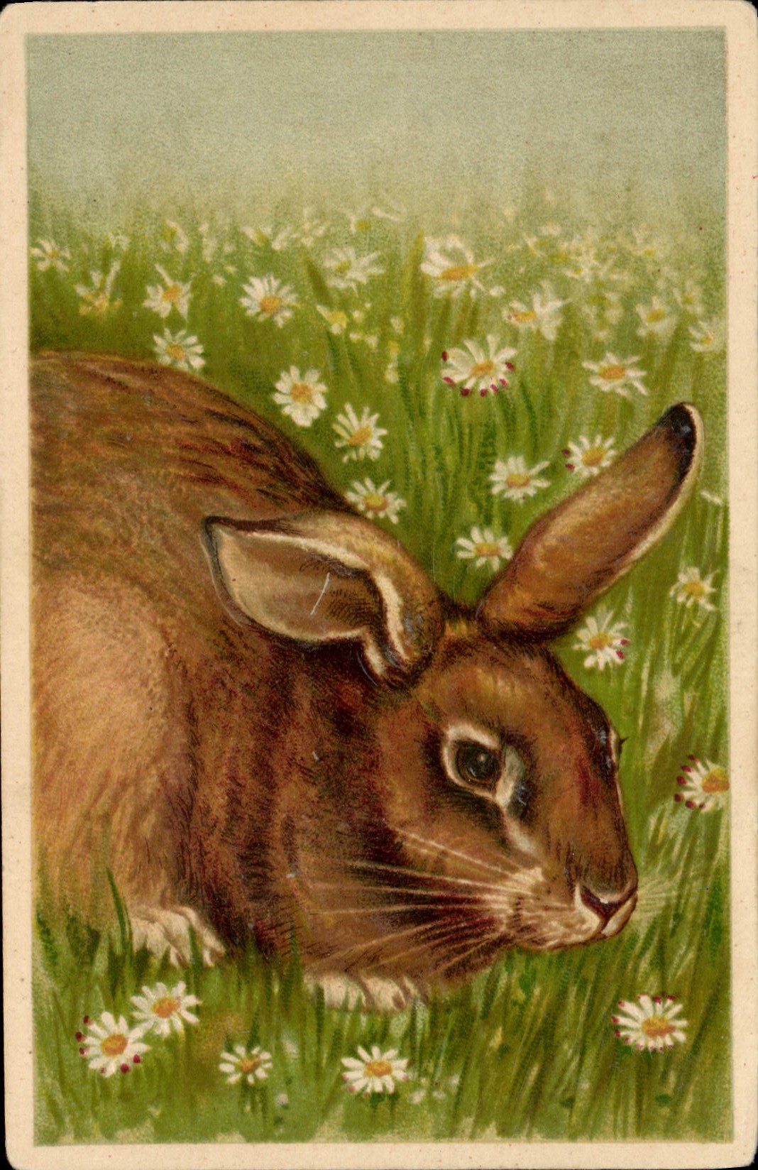 CPA Lapin 