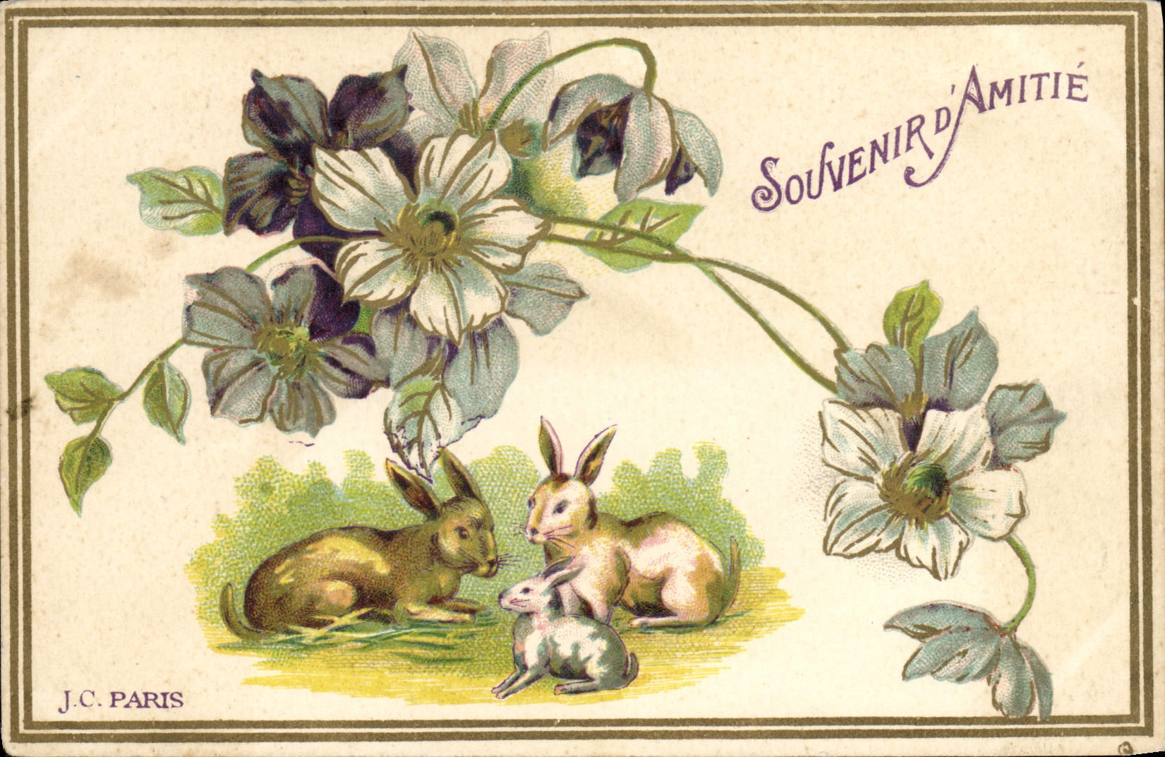 CPA Lapin Lapins 