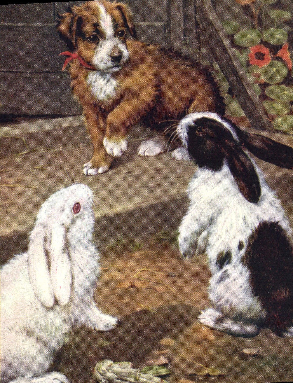 CPA Lapin Lapins Chien 