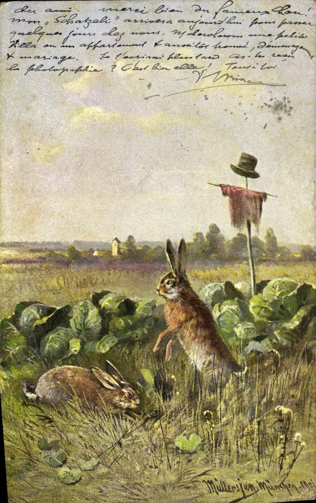 CPA Lapin Lapins 