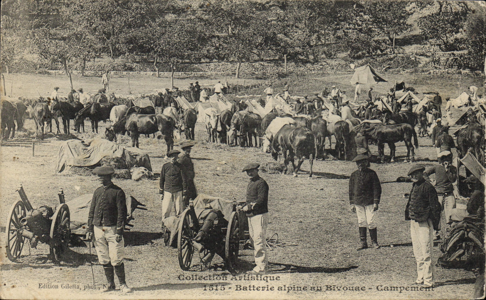 CPA Militaria Chasseurs Alpins Batterie alpine au bivouac Campement