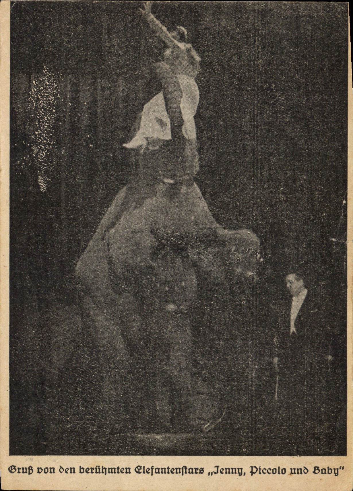 CPA Jenny Piccolo und Baby Elephant 