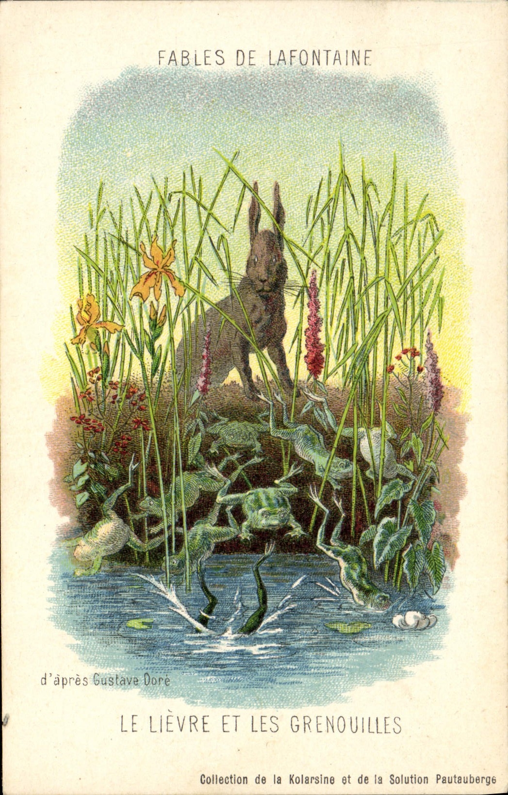 Vintage Postcard Rabbit Rabbits Fables of the Fountain the hare and the frogs Gustave Doré