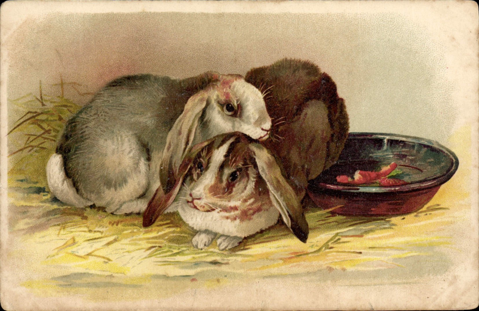 CPA Lapin Lapins 