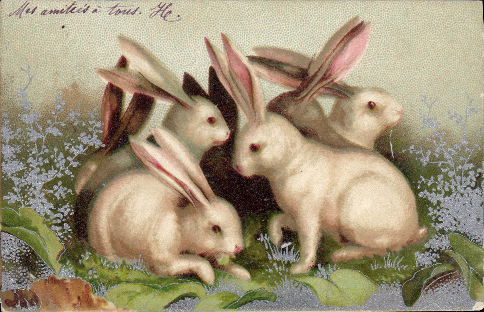CPA Lapin Lapins 