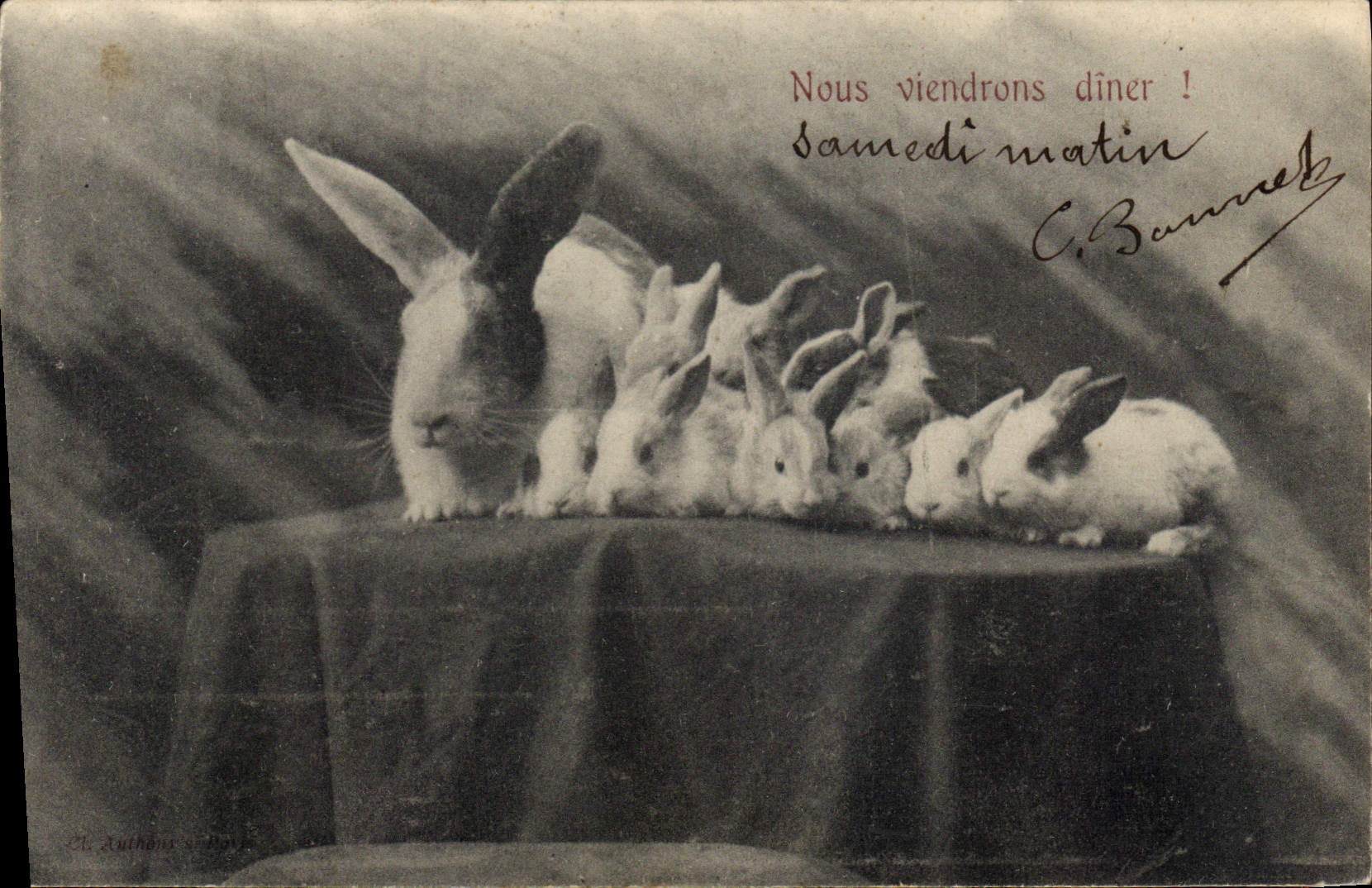 CPA Lapin Lapins Nous viendrons diner !