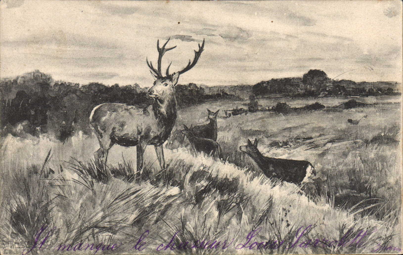 Vintage Postcard Stag Hinds