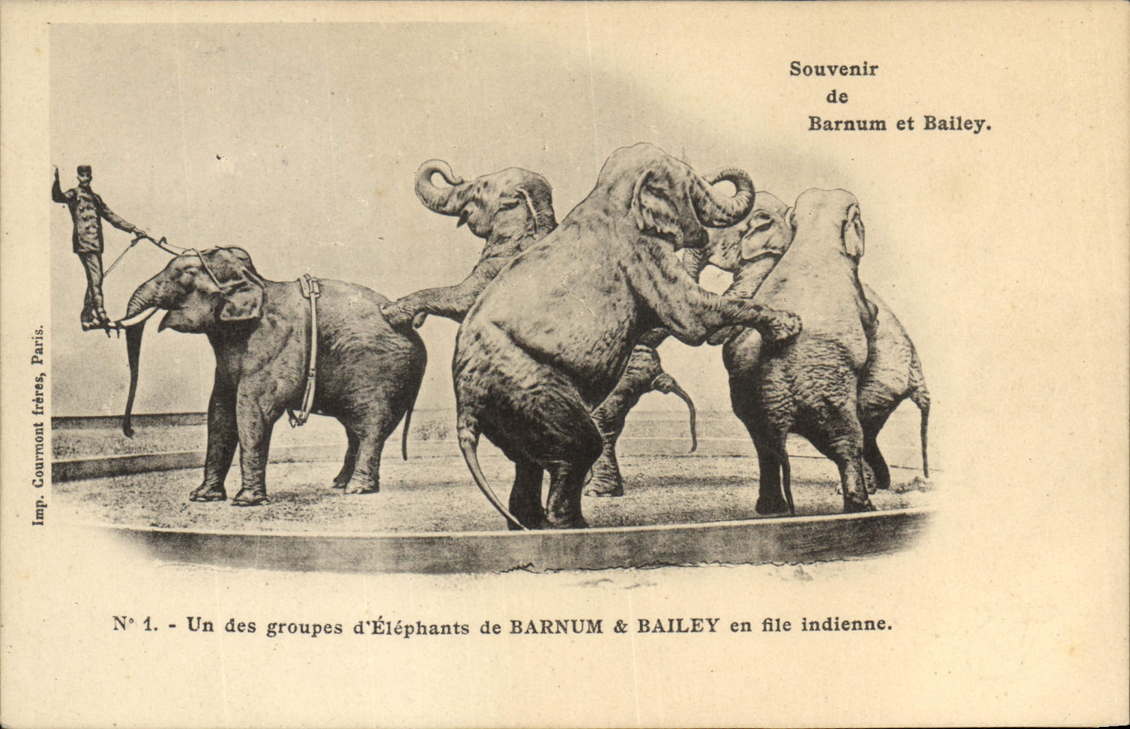 Vintage Postcard Circus Barnum and Bailey a group of elephants in Indian file Elephant